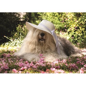 Jumbo (18530) - "Sophie in a Bed of Flowers" - 500 pezzi