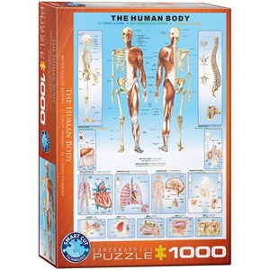 Eurographics (6000-1000) - "The Human Body" - 1000 pezzi