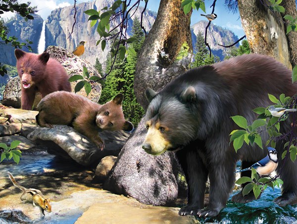 SunsOut (59305) - "Four Black Bears" - 300 pezzi