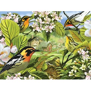 Cobble Hill (52037) - "Blackburnian Warblers" - 500 pezzi