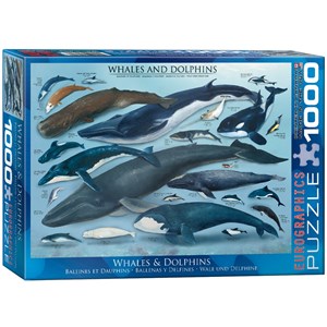 Eurographics (6000-0082) - "Whales & Dolphins" - 1000 pezzi
