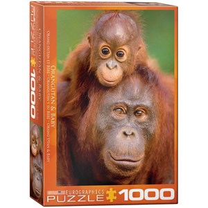 Eurographics (6000-0638) - "Orangutan & Baby" - 1000 pezzi