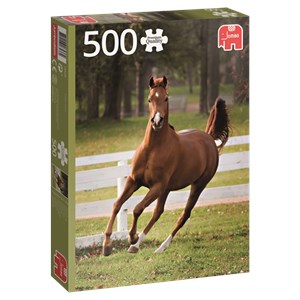 Jumbo (18538) - "Playful Foal" - 500 pezzi