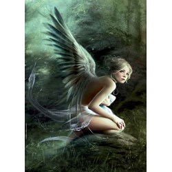 Heye (29304) - Melanie Delon: "Forest" - 1000 pezzi