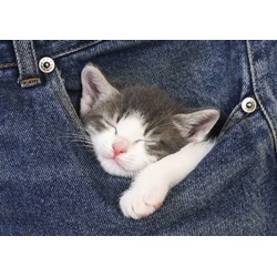 Educa (16735) - "Sweet Dreams" - 500 pezzi