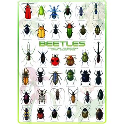 Eurographics (6000-0081) - "Beetles" - 1000 pezzi