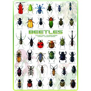 Eurographics (6000-0081) - "Beetles" - 1000 pezzi