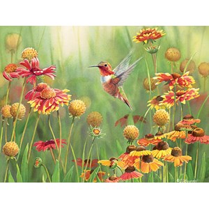 Cobble Hill (52078) - "Rufous Hummingbird" - 500 pezzi