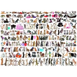 Eurographics (6000-0580) - "The World of Cats" - 1000 pezzi