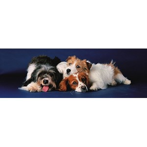 Eurographics (6005-4491) - "Dogs" - 750 pezzi
