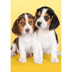 Clementoni (30356) - "Nice Beagles" - 500 pezzi