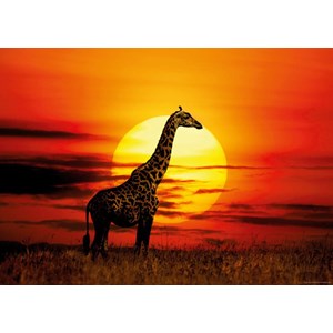 Heye (29688) - "Sunny Giraffe" - 1000 pezzi