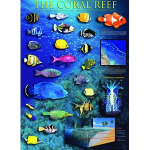 Eurographics (6000-1170) - "The Coral Reef" - 1000 pezzi