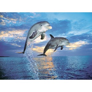 Clementoni (30139) - "Dolphin" - 500 pezzi