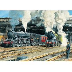 Falcon (11120) - Trevor Mitchell: "Full Steam Ahead" - 500 pezzi