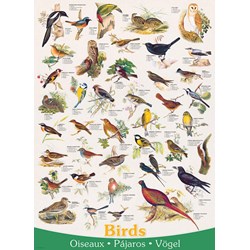 Eurographics (6000-1259) - "Birds" - 1000 pezzi