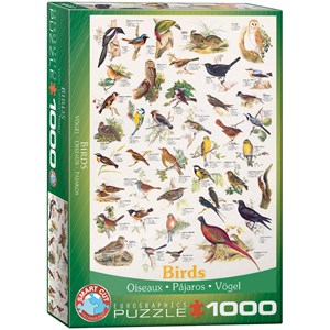 Eurographics (6000-1259) - "Birds" - 1000 pezzi