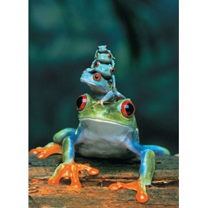 Eurographics (6000-3004) - "Red-Eyed Tree Frog" - 1000 pezzi