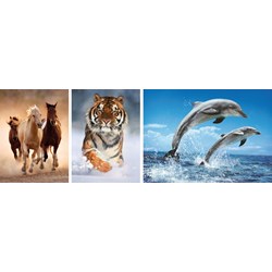 Clementoni (08004) - "Animals" - 1000 pezzi