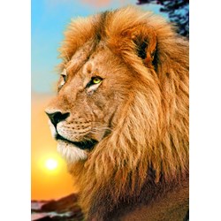 Trefl (371918) - "Lion" - 500 pezzi