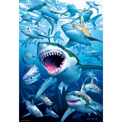 Educa (17085) - "Shark Club" - 500 pezzi