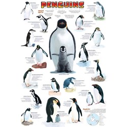 Eurographics (6000-0044) - "Penguins" - 1000 pezzi