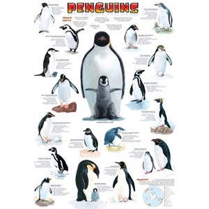 Eurographics (6000-0044) - "Penguins" - 1000 pezzi