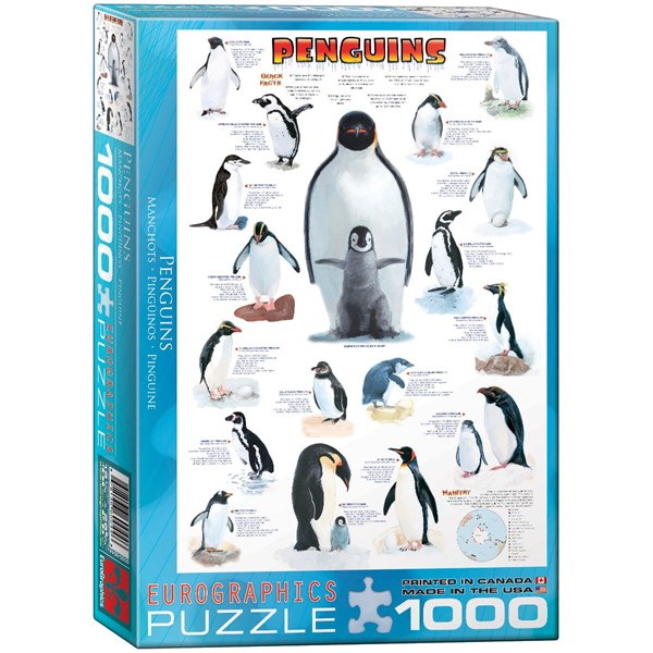 Eurographics (6000-0044) - "Penguins" - 1000 pezzi