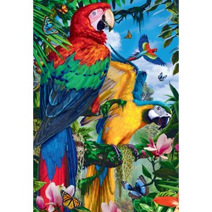Jumbo (18330) - "Pretty Parrots" - 1000 pezzi