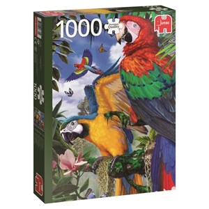 Jumbo (18330) - "Pretty Parrots" - 1000 pezzi