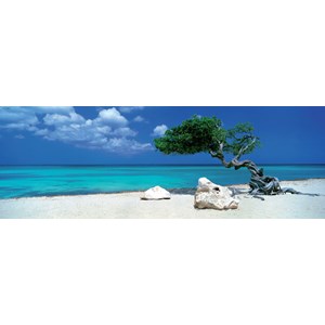 Heye (29399) - Alexander von Humboldt: "Divi Divi Tree" - 1000 pezzi
