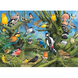 Eurographics (6000-0967) - John Francis: "Garden Birds" - 1000 pezzi