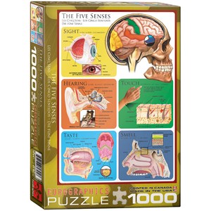 Eurographics (6000-0305) - "The Five Senses" - 1000 pezzi