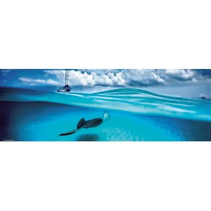 Heye (29470) - Alexander von Humboldt: "Stingray" - 1000 pezzi