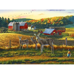 Buffalo Games (11238) - Darrell Bush: "Harvest Time" - 1000 pezzi