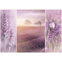 Trefl (104110) - Sandra Kreuzinger: "Romantic Lavender Fields" - 1000 pezzi