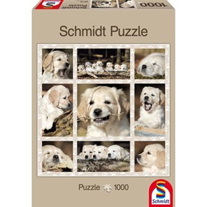 Schmidt Spiele (58155) - "Dog Kids" - 1000 pezzi