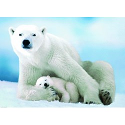 Eurographics (6000-1198) - "Polar Bear and Baby" - 1000 pezzi