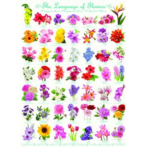 Eurographics (6000-0579) - "The Language of Flowers" - 1000 pezzi