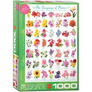 Eurographics (6000-0579) - "The Language of Flowers" - 1000 pezzi