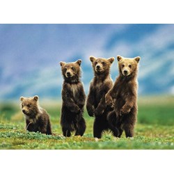 Eurographics (8300-0531) - "Bear Cubs Standing" - 300 pezzi