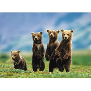 Eurographics (8300-0531) - "Bear Cubs Standing" - 300 pezzi