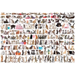 Eurographics (8220-0580) - "The World of Cats" - 2000 pezzi
