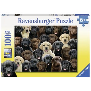 Ravensburger (10971) - Greg Cuddiford: "Labradors" - 100 pezzi