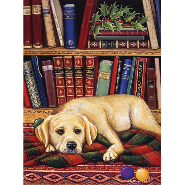 SunsOut (51731) - "Read to Me" - 1000 pezzi