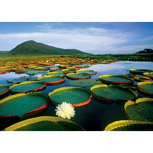 Heye (29593) - Alexander von Humboldt: "Victoria Lily" - 1000 pezzi