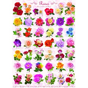 Eurographics (6000-0593) - "Roses" - 1000 pezzi