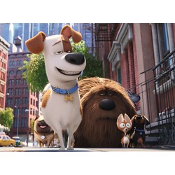 Ravensburger (10874) - "Secret Life of Pets" - 100 pezzi