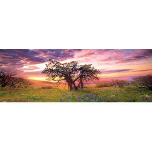 Heye (29472) - Alexander von Humboldt: "Oak Tree" - 2000 pezzi