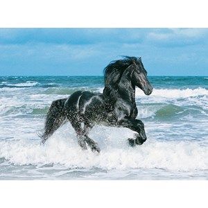 Clementoni (30175) - "Black Horse" - 500 pezzi